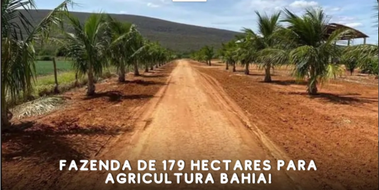 FAZENDA DE 179 HECTARES PARA AGRICULTURA BAHIA!