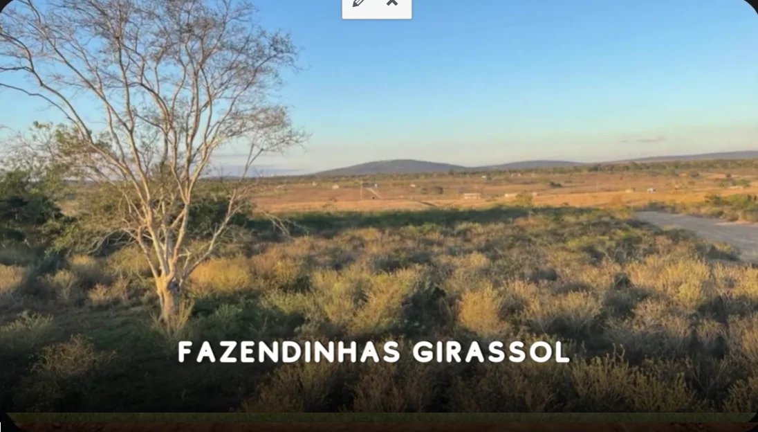 Fazendinhas Girassol